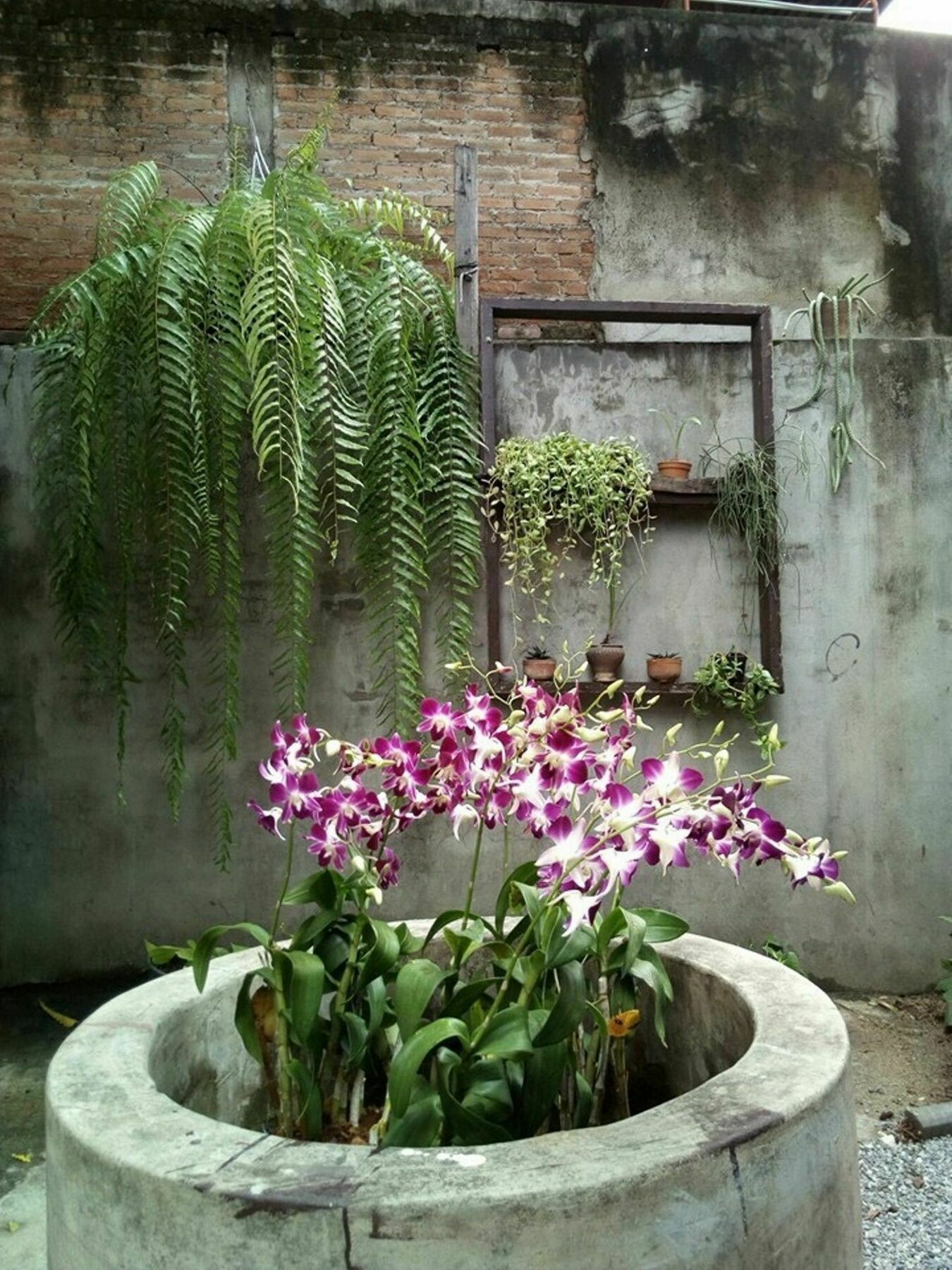 Twin House @ Tapae Hostel เชียงใหม่ ภายนอก รูปภาพ