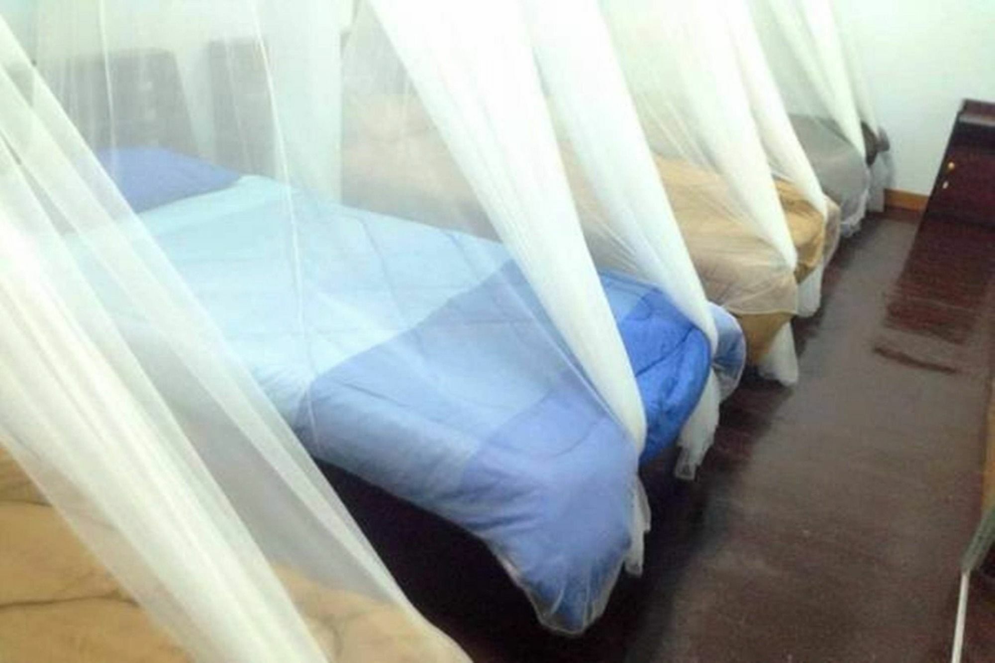 Twin House @ Tapae Hostel เชียงใหม่ ภายนอก รูปภาพ